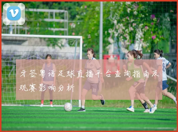 牙签粤语足球直播平台查询指南及观赛影响分析